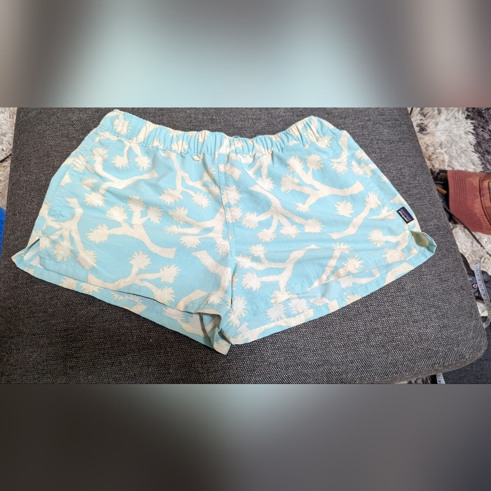 Patagonia baggies Joshua tree print size s